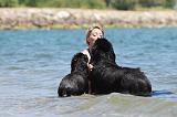 ADULTE ET CHIEN 094